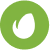 Envato Icon