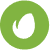 Envato Icon